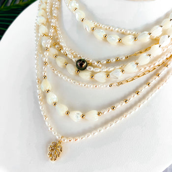 The Oasis Collection