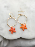 Sea star Hoops