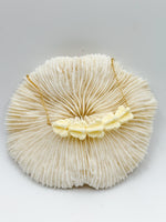 Pua Kalaunu Bar Necklace