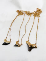 Shark Tooth Necklace