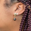 Clam Shell Stud Earrings