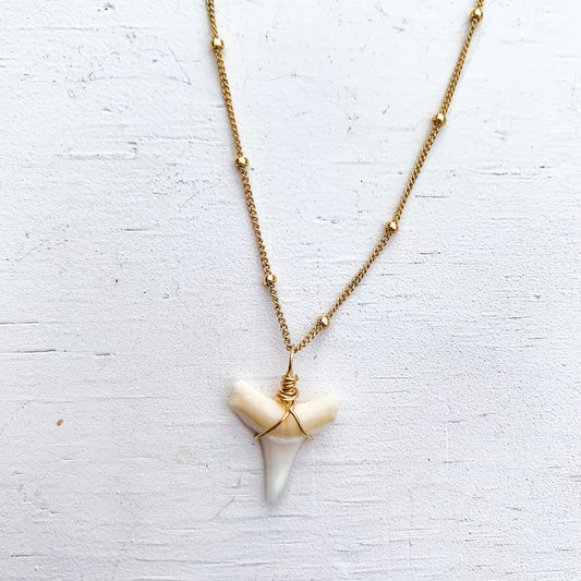 Shark Tooth Choker Necklace