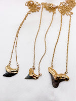 Shark Tooth Necklace