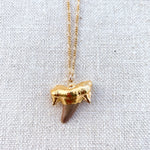 Shark Tooth Necklace