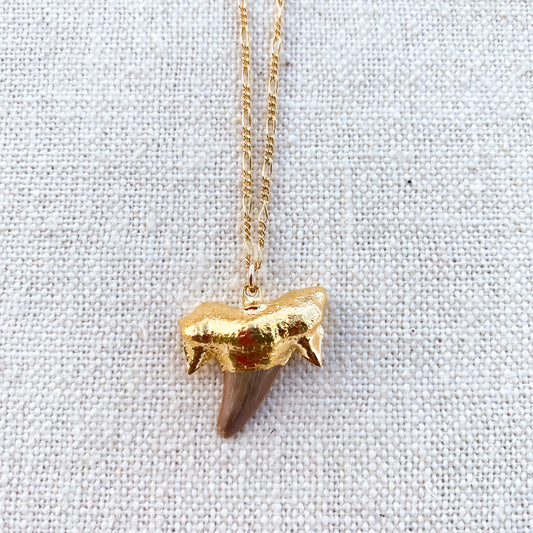 Shark Tooth Necklace