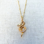 Snake Charm Necklace