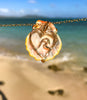 Custom Heart Prong Sunrise Shell Necklace